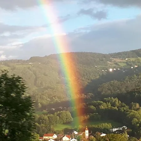 Lägenhet Ferienapartment 38 Sonnenwald Langfurth