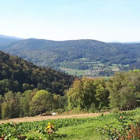 Apartament Ferienapartment 38 Sonnenwald Langfurth (Freyung-Grafenau)