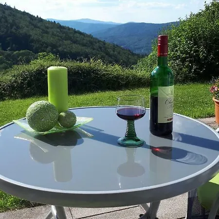 Apartmán Ferienapartment 38 Sonnenwald